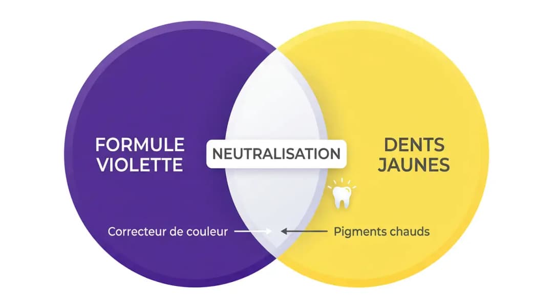 La science : le violet neutralise le jaune